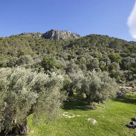 Finca Es Castell 4*