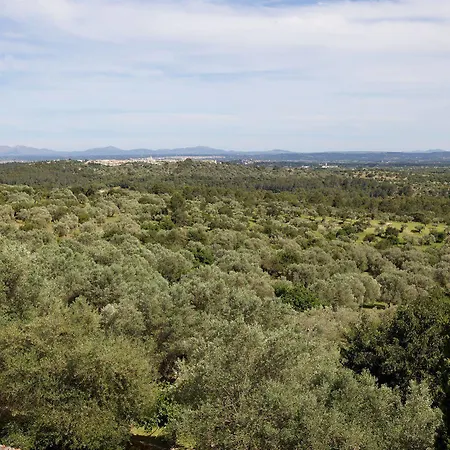 Finca Es Castell