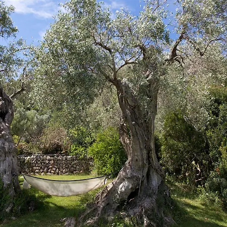 Finca Es Castell 4*